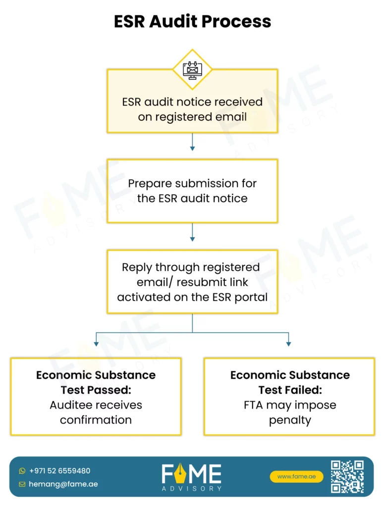 Economic Substance Regulations (ESR) Audit Process