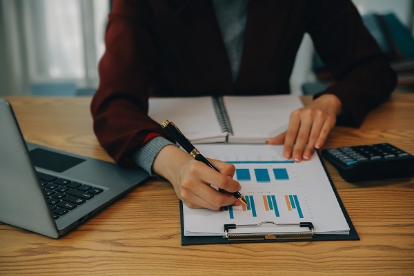 VAT Litigation Support