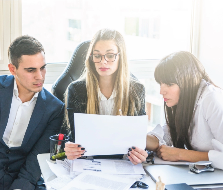 VAT Representation and Litigation Support
